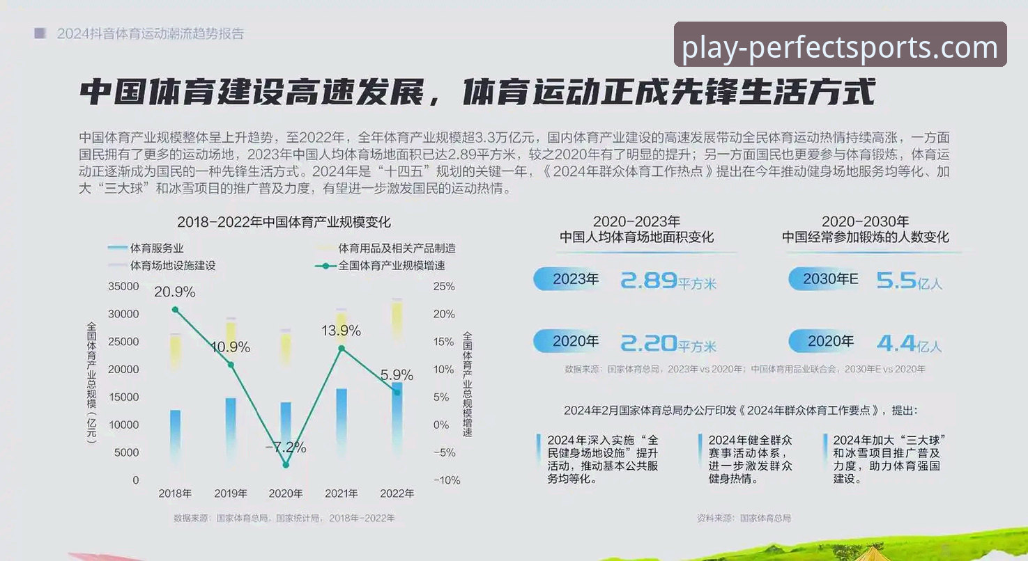完美体育2024深度评测：从技术架构到移动端体验的全面分析